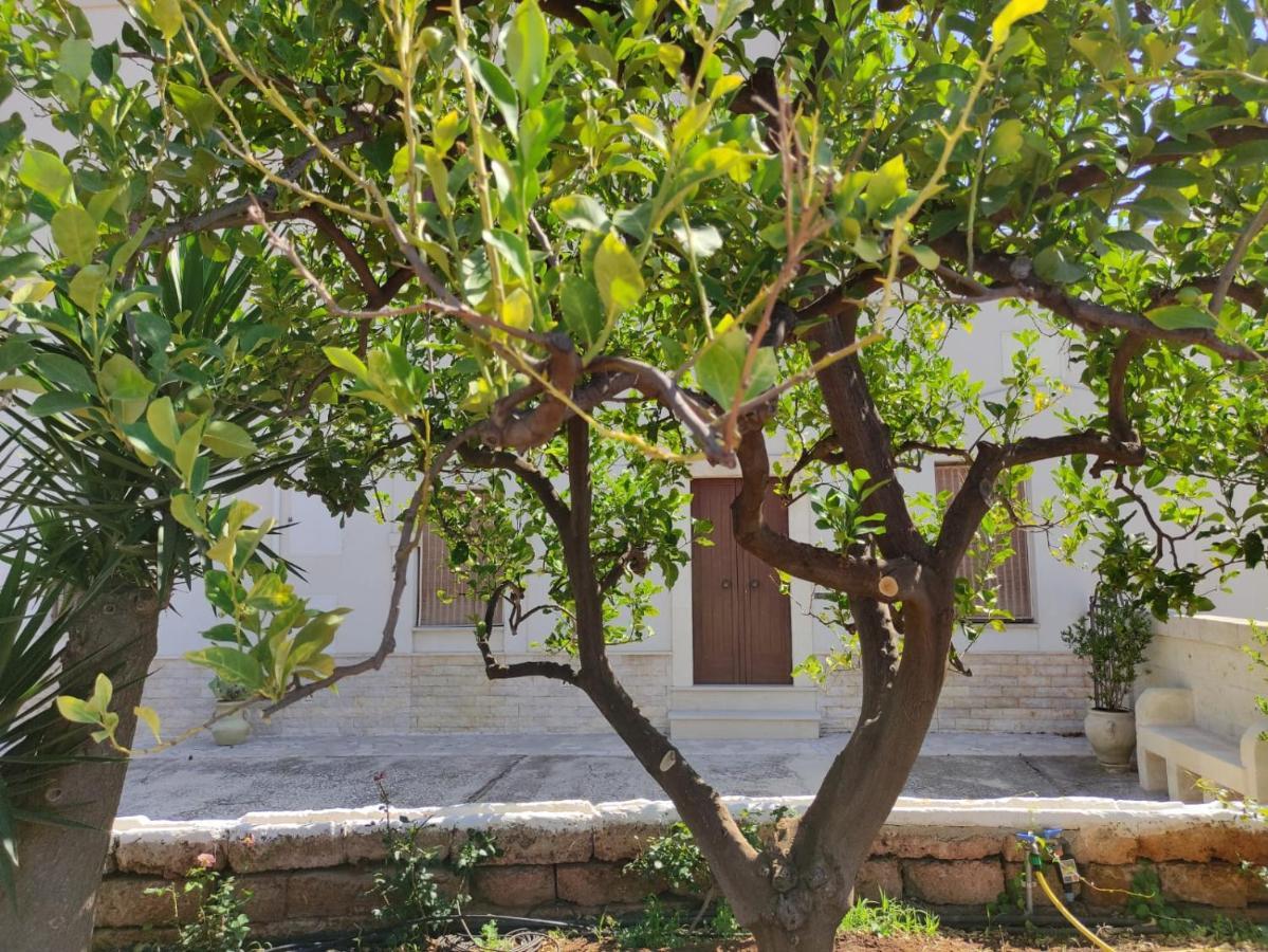 Residenza "I Tre Carrubi " Villa Fasano Dış mekan fotoğraf