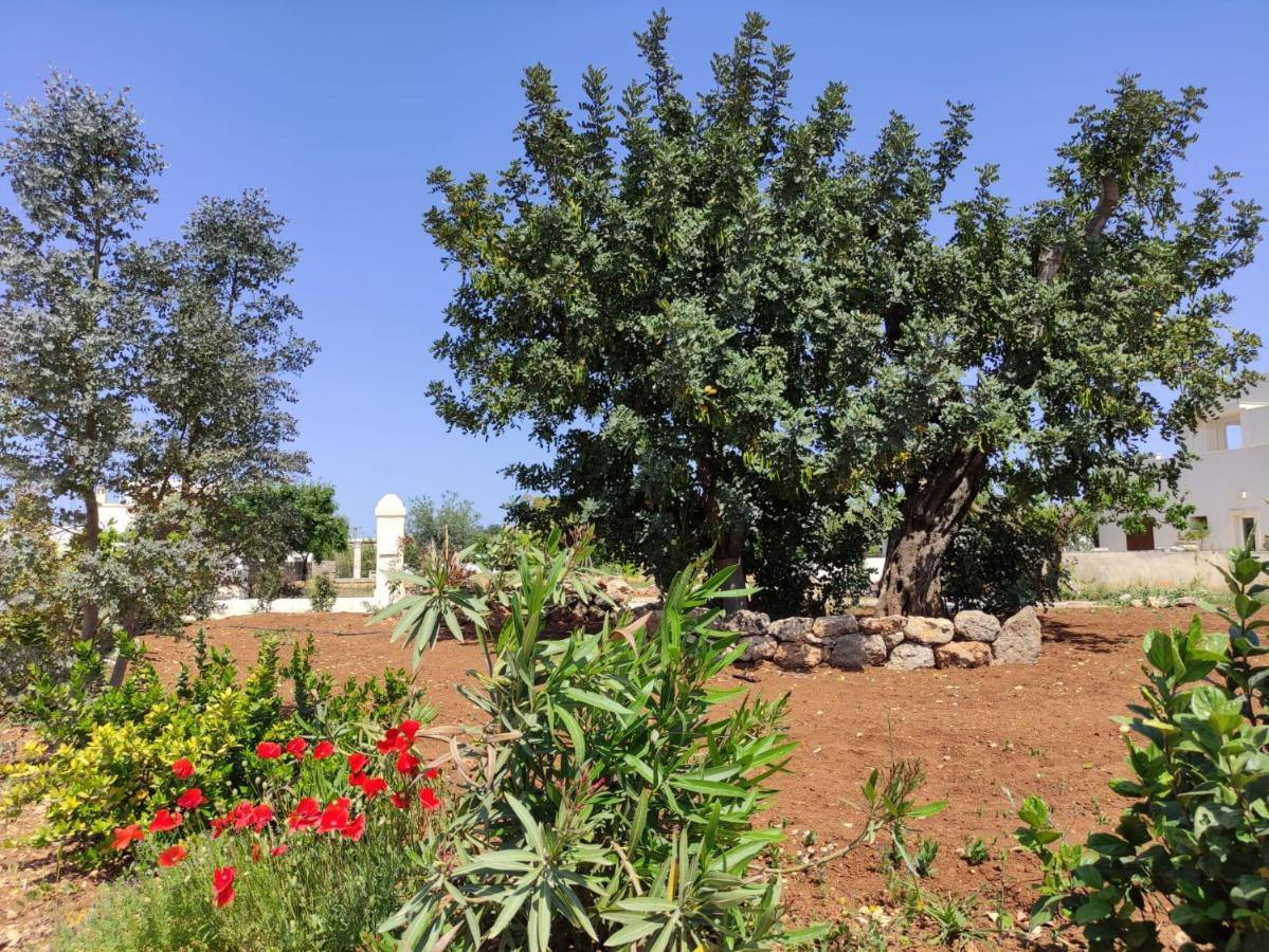 Residenza "I Tre Carrubi " Villa Fasano Dış mekan fotoğraf