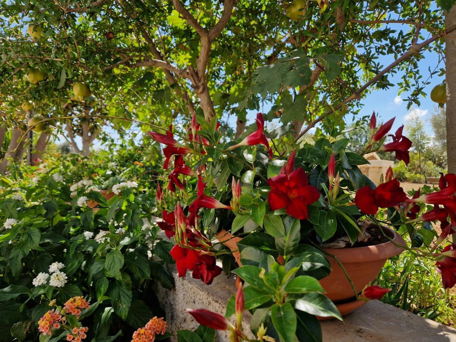 Residenza "I Tre Carrubi " Villa Fasano Dış mekan fotoğraf