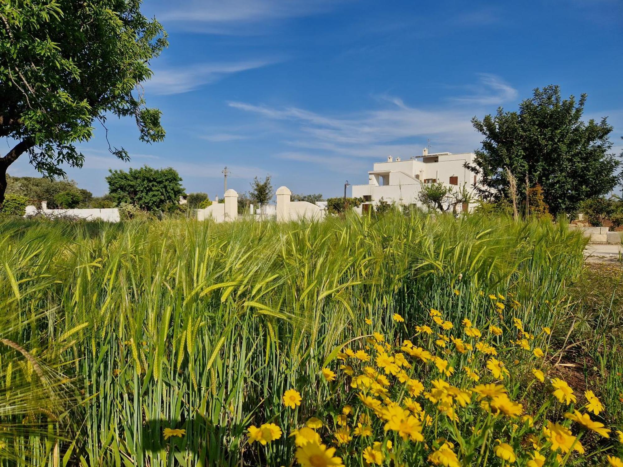 Residenza "I Tre Carrubi " Villa Fasano Dış mekan fotoğraf