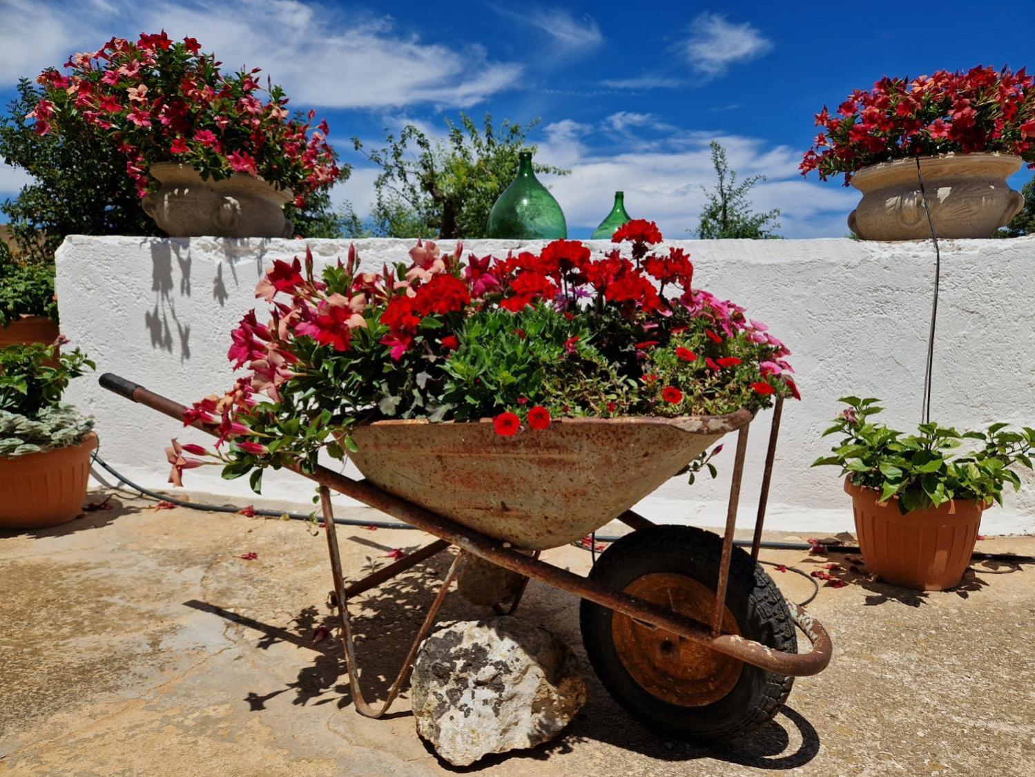 Residenza "I Tre Carrubi " Villa Fasano Dış mekan fotoğraf